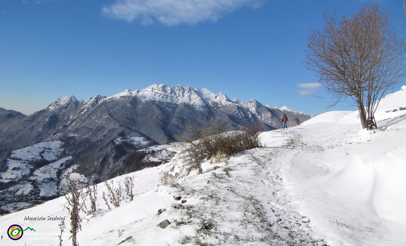 18 Fuoriesco definitivamente dal bosco, riappare il Resegone....JPG